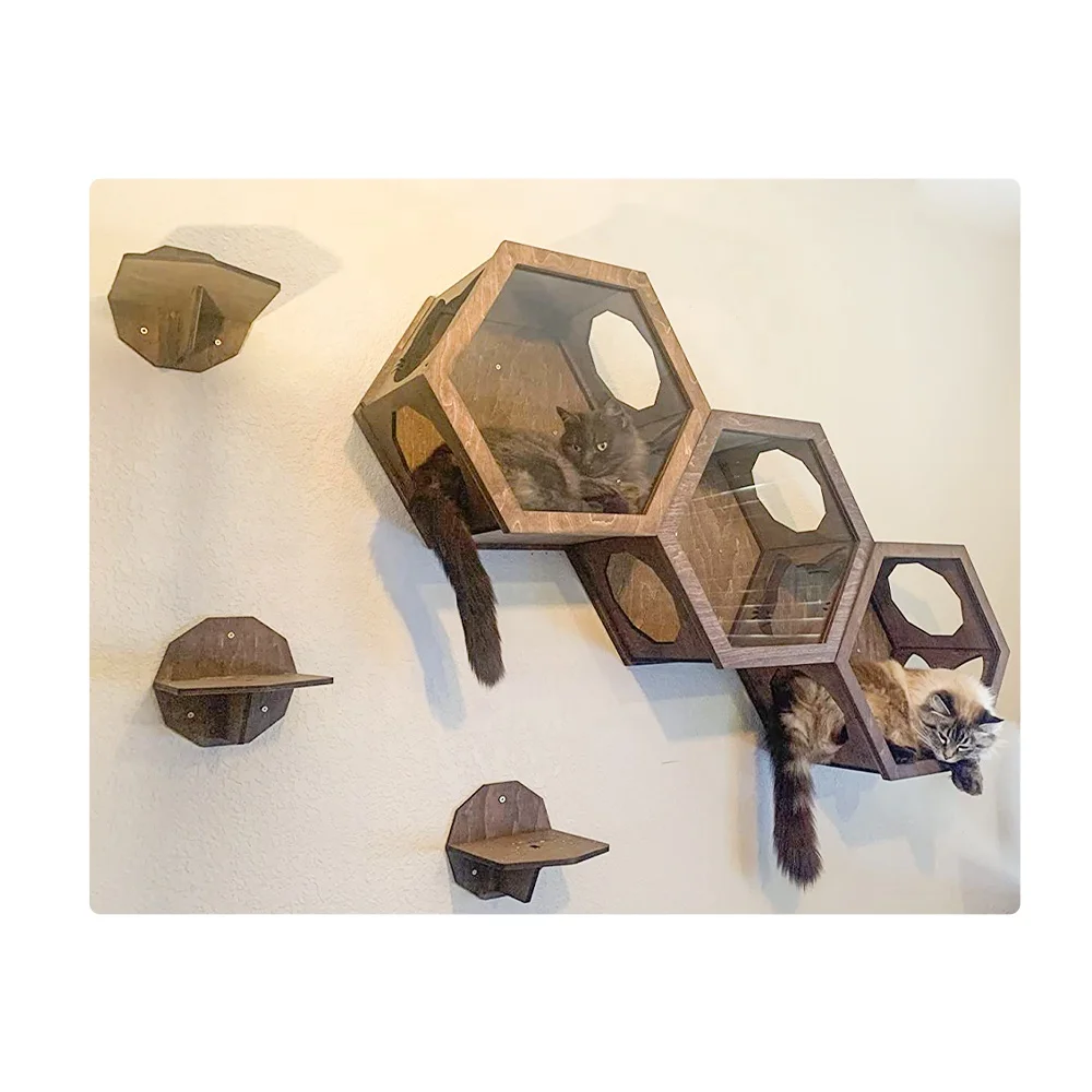 Acrylic Glass Window Cat Bed Furniture Wall Pet Toy Hexagon Cat Shelves Wood Climbing Shelf