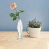 Glass Fish Vase Flask Large Pitcher with Lid Pots for Plants Vases Shaped Bottle Container 6