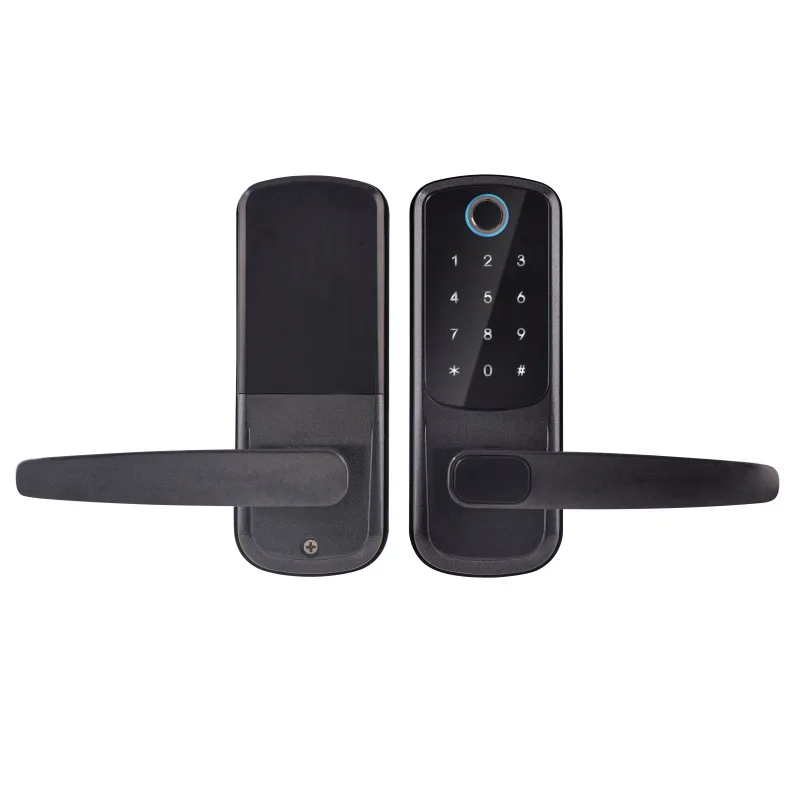 Wooden door fingerprint lock, office, apartment, homestay password replacement, spherical, swipe card, Bluetooth smart