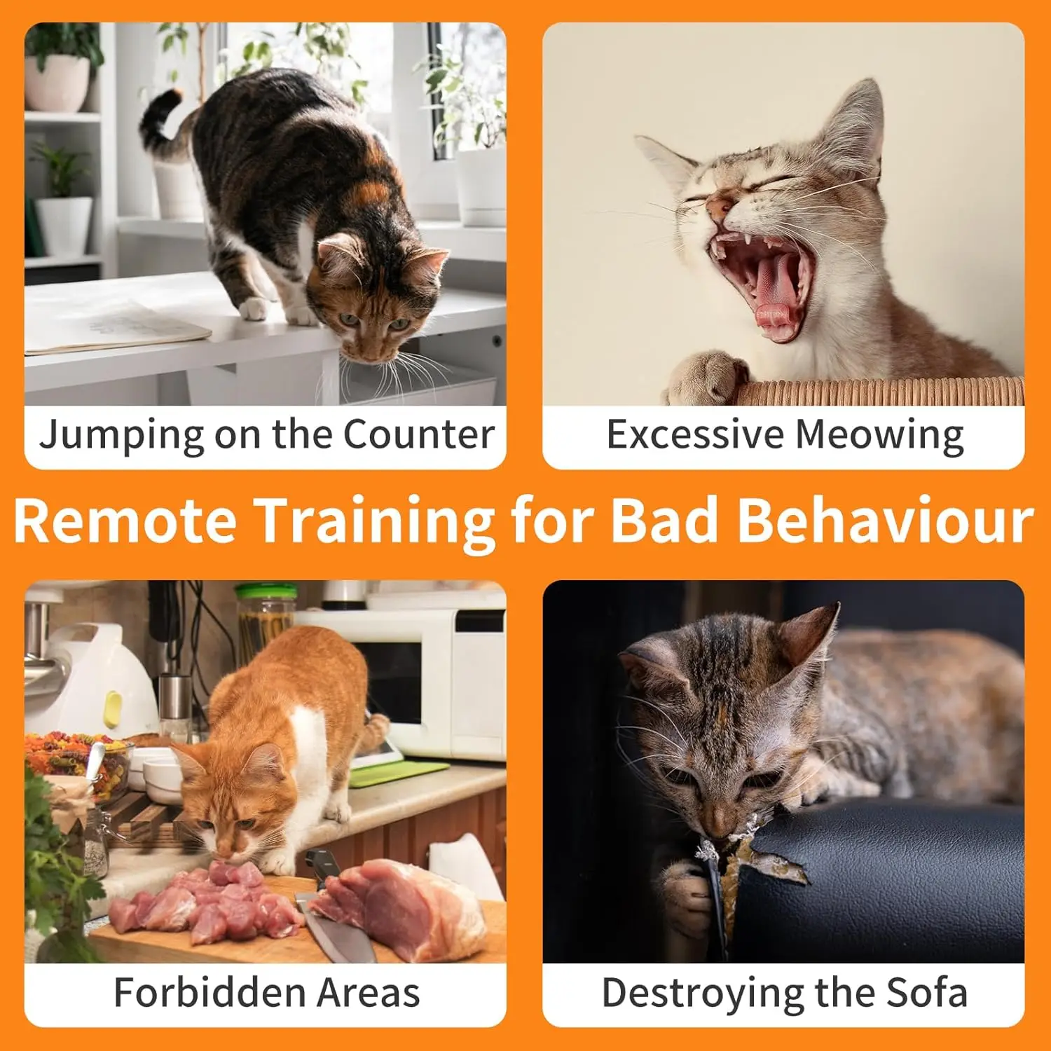 Cat Training Collar Cat Shock Collar with Remote 4 IN 1 Cat Training Collar with Auto Anti-Meow Beep Vibration Safety Shock 4 Modes for Cats