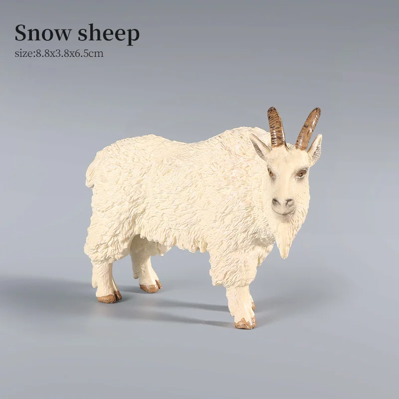 Animal-12