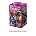 GV06 Random 1box