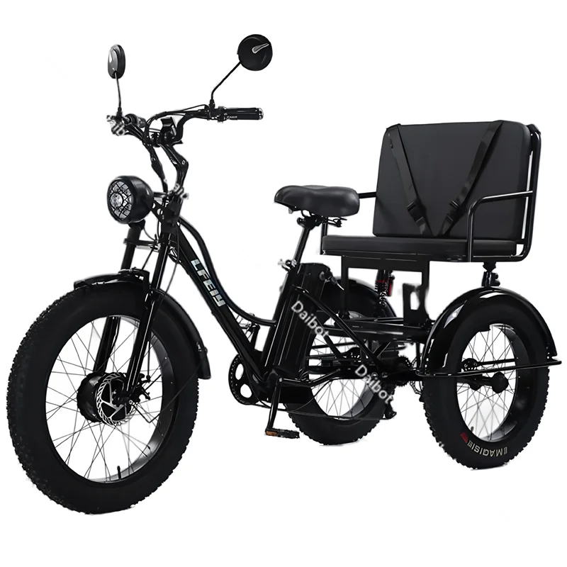 Rear Seat Person Electric Trike Fat Tire Electric Adult Wheel