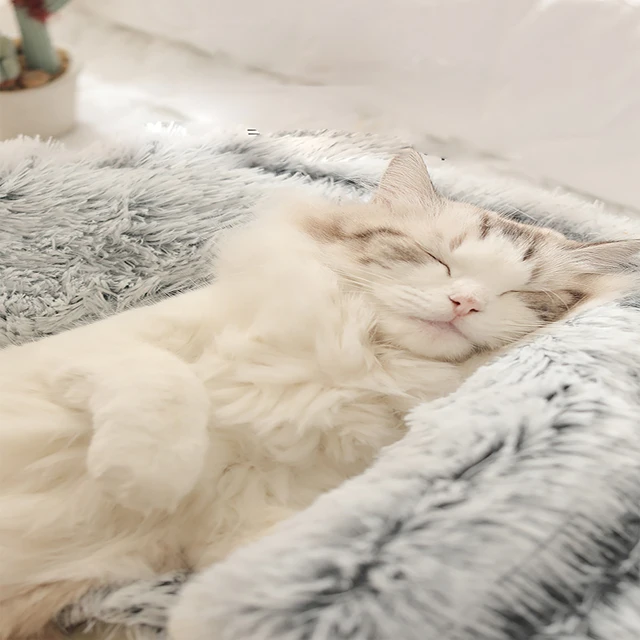 Plush Hooded Pet Bed – Round Fluffy 2-in-1 Cat & Dog Sleeping Nest 3