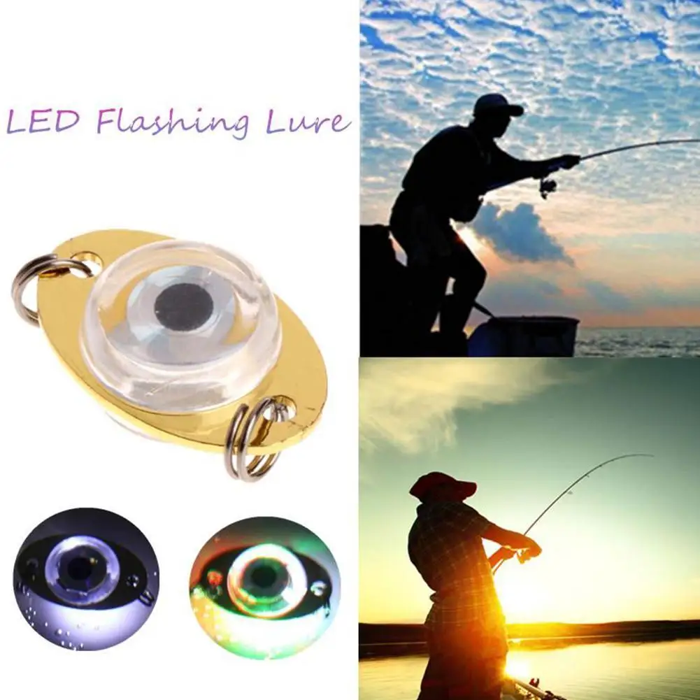 FTK LED Fishing Lures Kit 1/2/3/4pcs Deep Drop Fishing Lights LED
