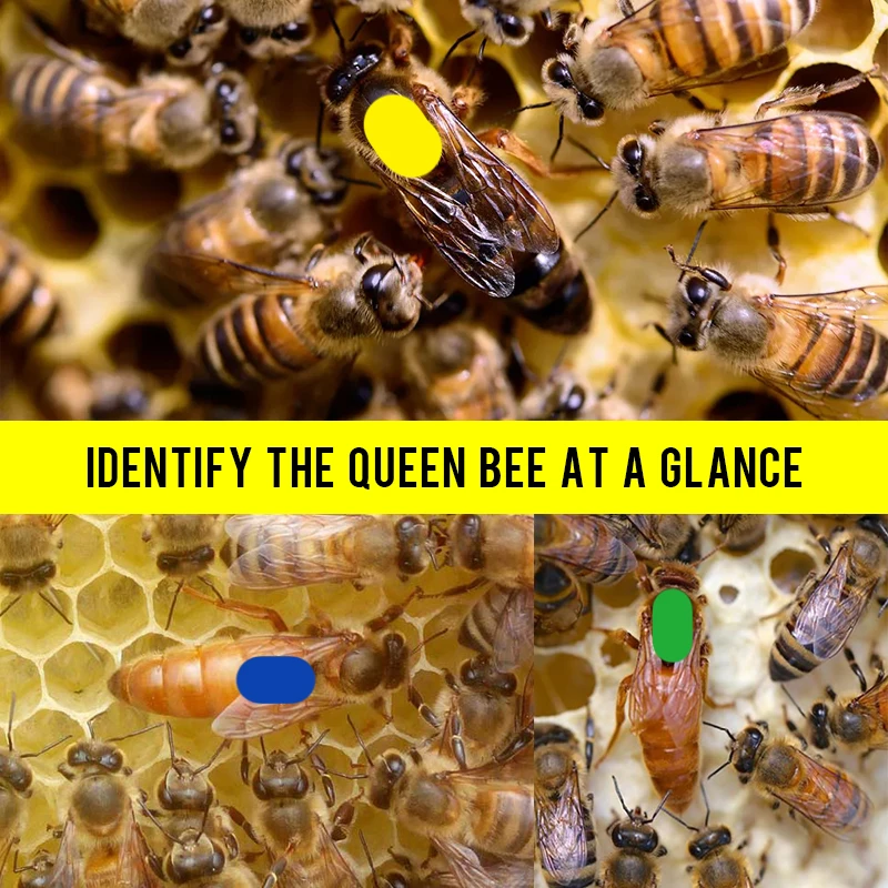 Slide image 84f5fe15c0c142978780810ed1ff83a7