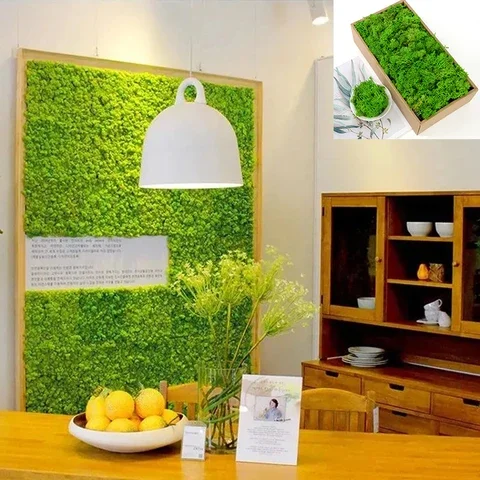 

Home/Office Plant Wall Decor 40 Gram Artificial Moss Plastic Moss Green Decoration Accessories Simulation Moss