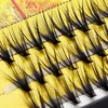 Custom Logo Private Label 20D/30D/40D Individual Eyelash Extension Cluster Mink Eyelashes Professional Flared Lashes Makeup 2