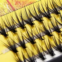 Custom Logo Private Label 20D/30D/40D Individual Eyelash Extension Cluster Mink Eyelashes Professional Flared Lashes Makeup 2