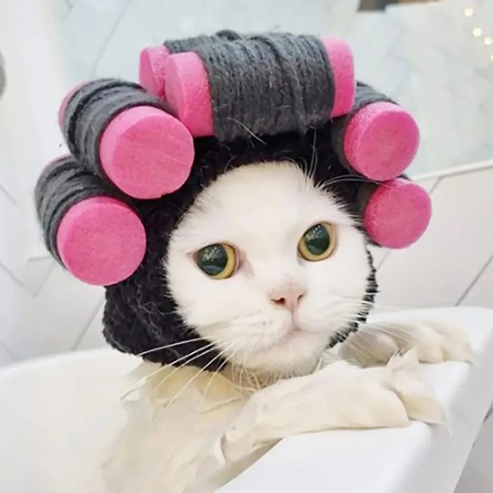 

Black Dresses Interesting Headwear Knit Curly Hair Pet Hat Fleece Pet Hats Dogs