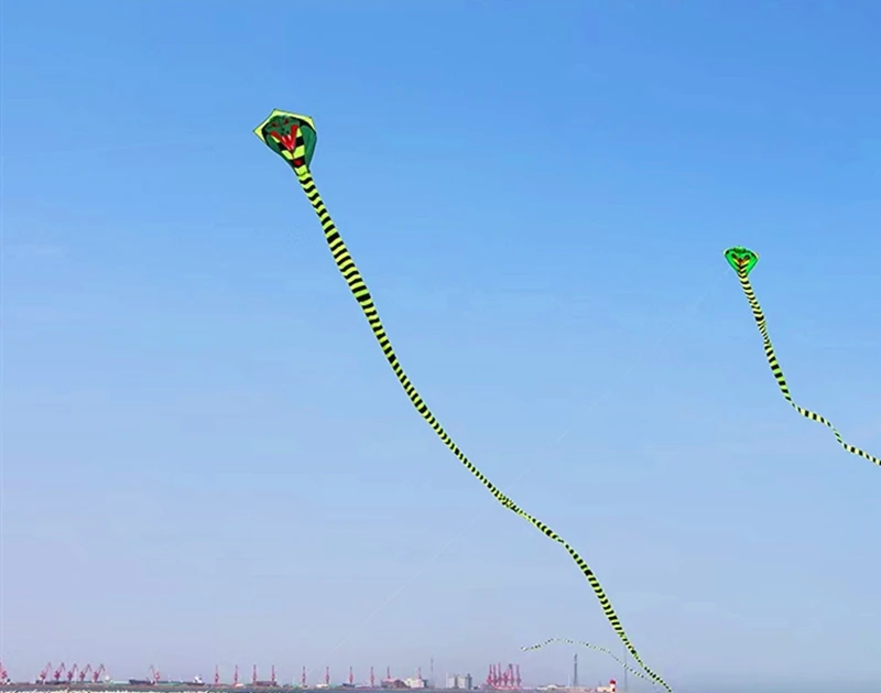 Großer Schlangendrachen für Kinder, Drachen, Nylon, Fabrik, Fliegenschnur, Strand, Sport, Outdoor, Spielen, Weifang, Cobra, Drachenfabrik, Koi-Linie – Detail 9