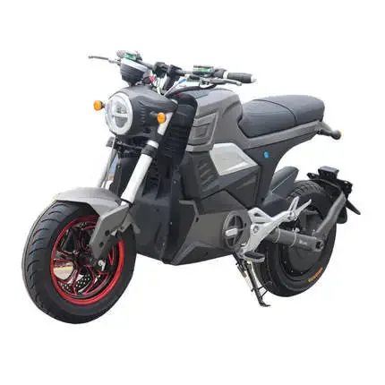 Newest Adult Long Range 2 Wheel Electric Offroad Motorcycle With Long Range