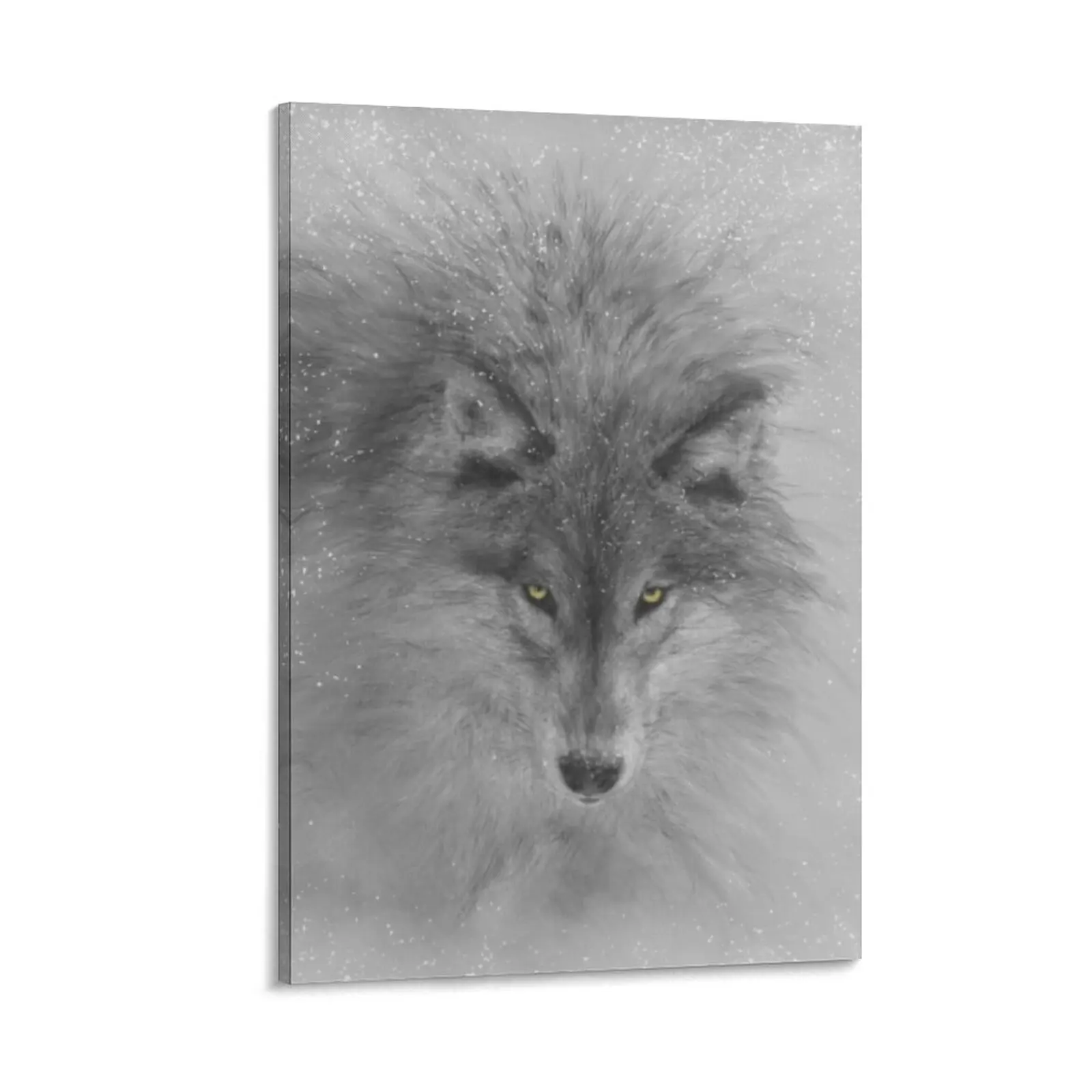 

I AM THE STORM Canvas Painting accessories for home decor home decor