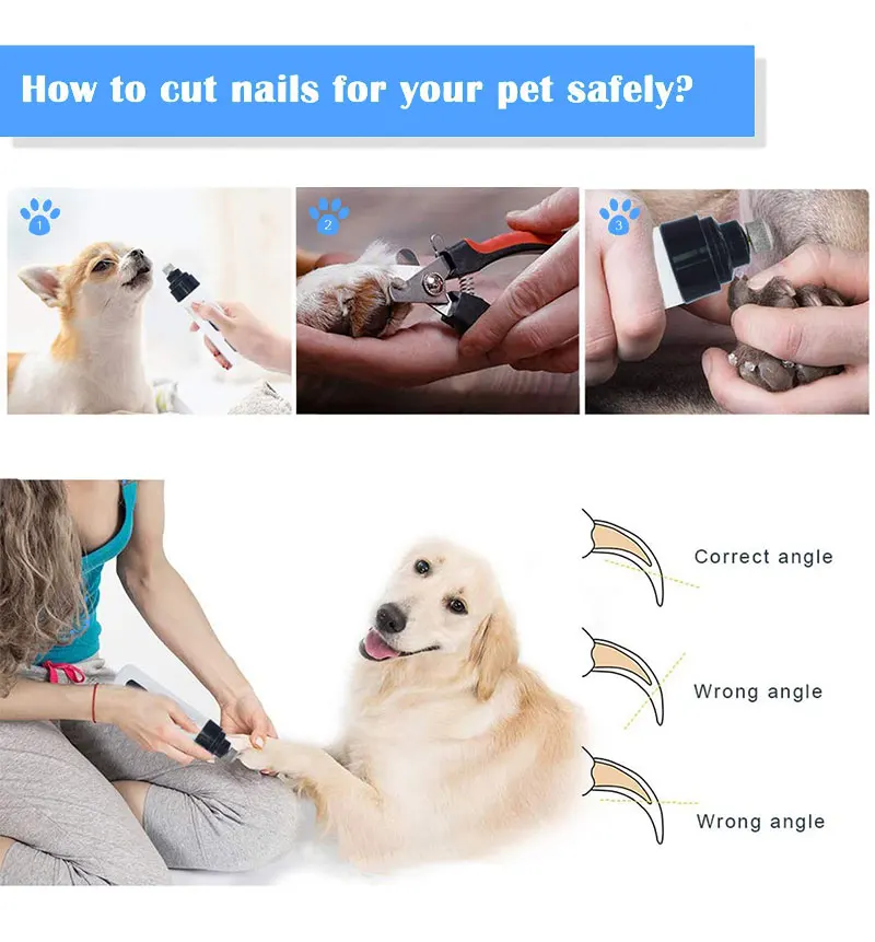 Best Dog Nail Trimmer