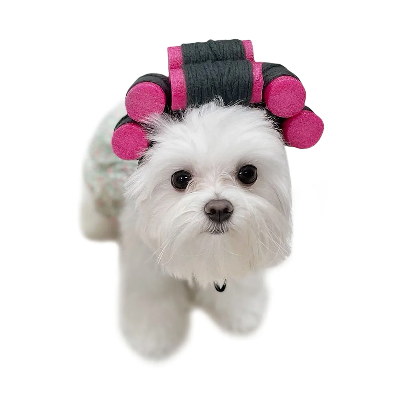 

Hair Roller Cap Headgear Dog Hat Hair Rollers Fake Bangs Funny Photography Props For Small Dog Cat