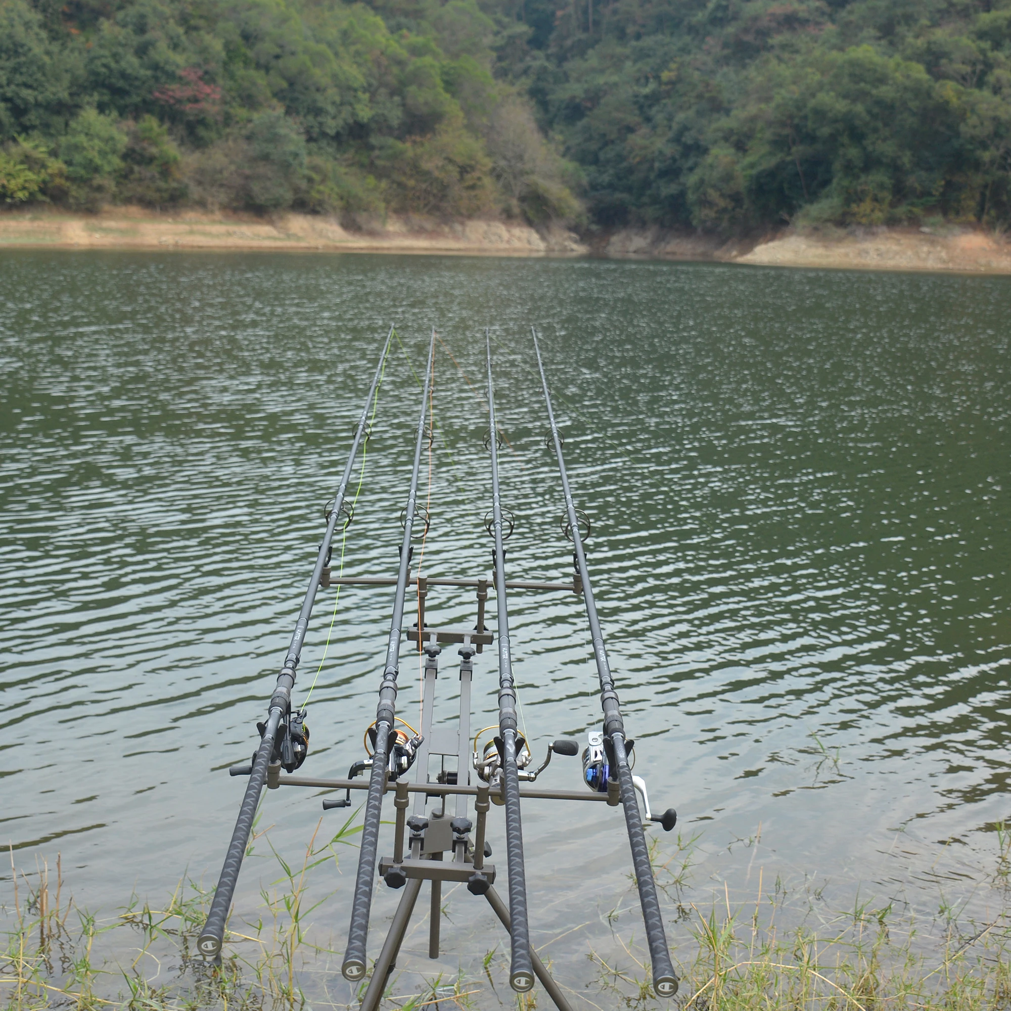 BUDEFO HUNTER CARP Fishing Rod 3.96m FUJI REELSEAT 50mm Guide High Carbon  Surf Spinning Casting Hard Throwing Shot to About 180M - AliExpress