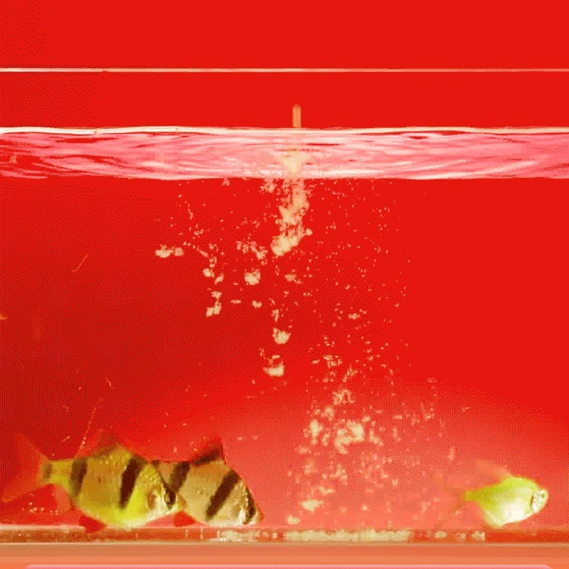 Instant Baby Brine Shrimp Food - High Protein Micro Granules