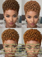 Perruques Afro courtes crépues bouclées perruque de cheveux humains coupe lutin Wi perruque courte pleine Machine faite perruque pour les femmes 5