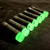Azure Dragon Glow in the Dark Stefan Short Darts 2