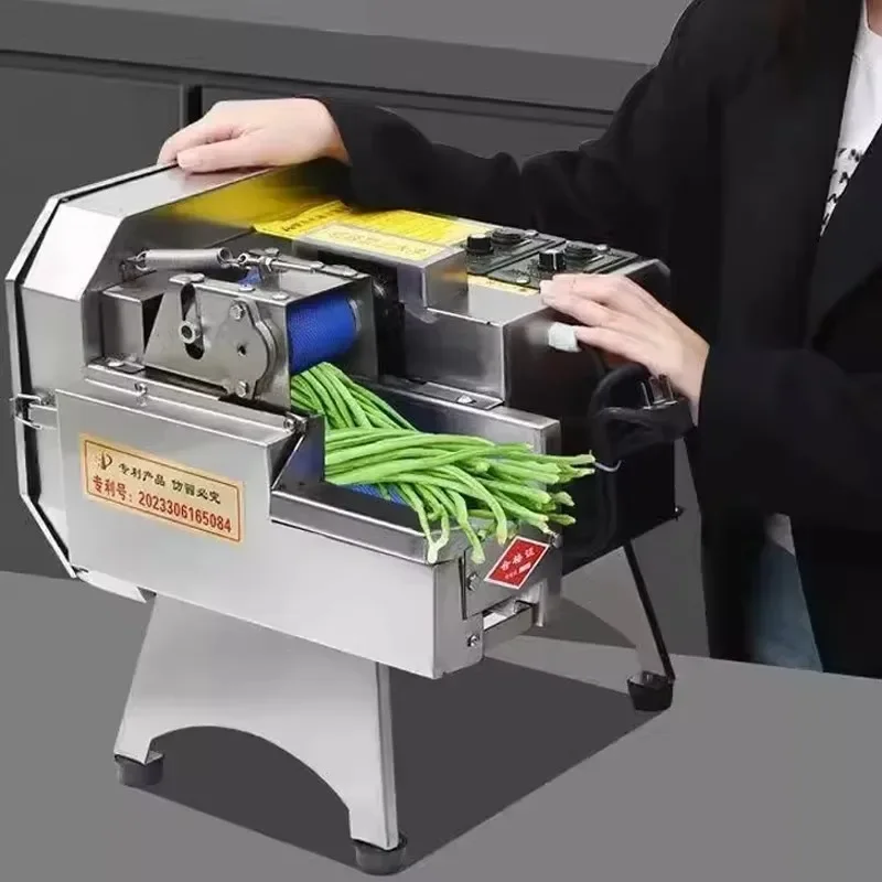 110V/220V CommercialShallot Vegetable Cutter Machine Multifunctional for Home Dicing Machine Carrot Potato Fruit Electric Slicer