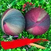200g Dyed Australian Wool Yarn 1600m,100% Wool Magic Ball Lace Thread Knitting Yarn,DIY Woven Scarf Rainbow Shawl Crochet Thread 3