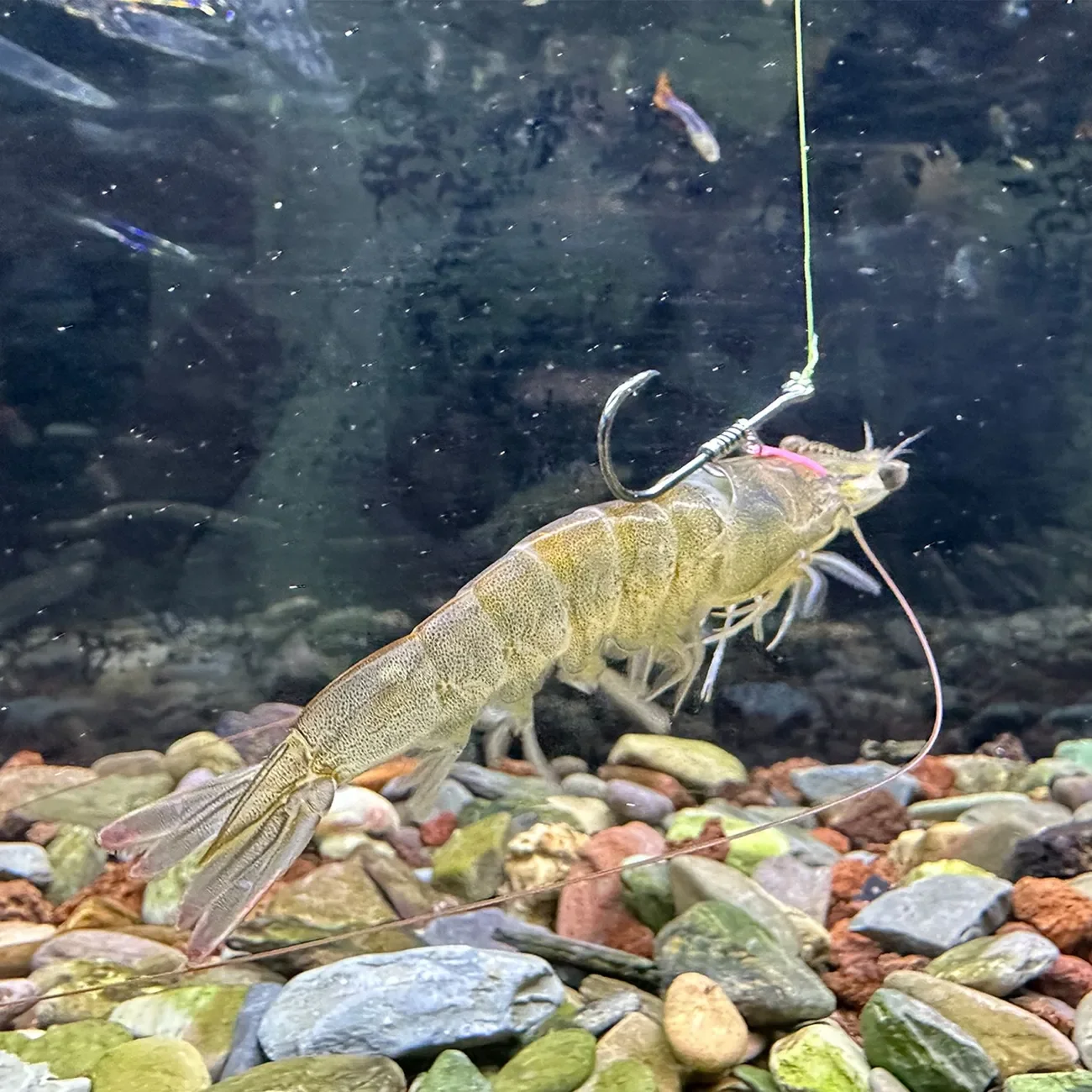 Slide image 43d9a3252d264b28afe20946de764d6b