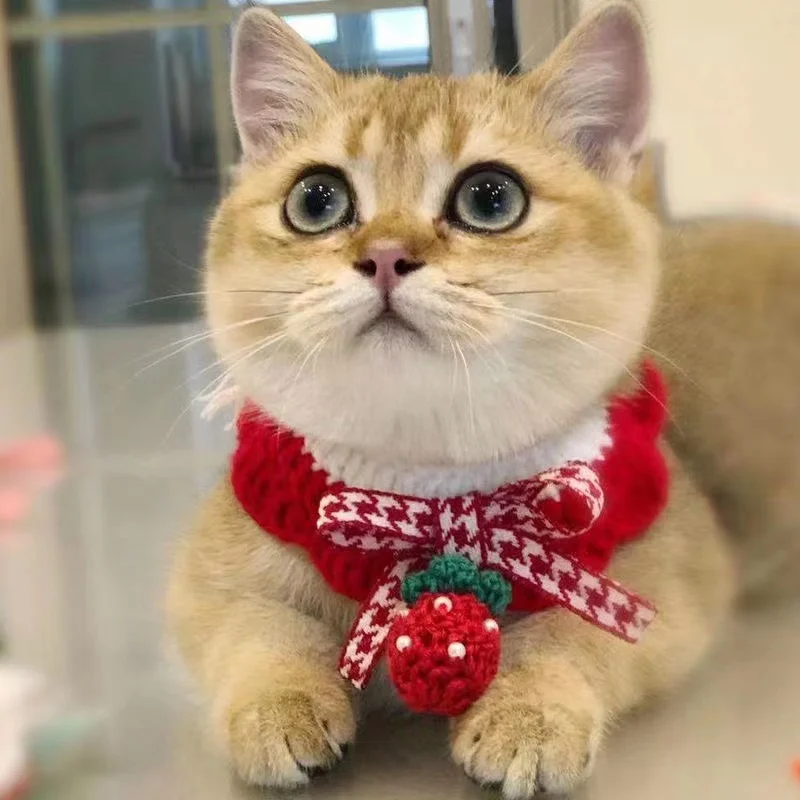1 Pcs Pet Cat Knitted Scarf Cute Collar and 1 Pcs Cat Santa Christmas Hat,Kitten Pet Xmas New Year Birthday Costume Accessories 