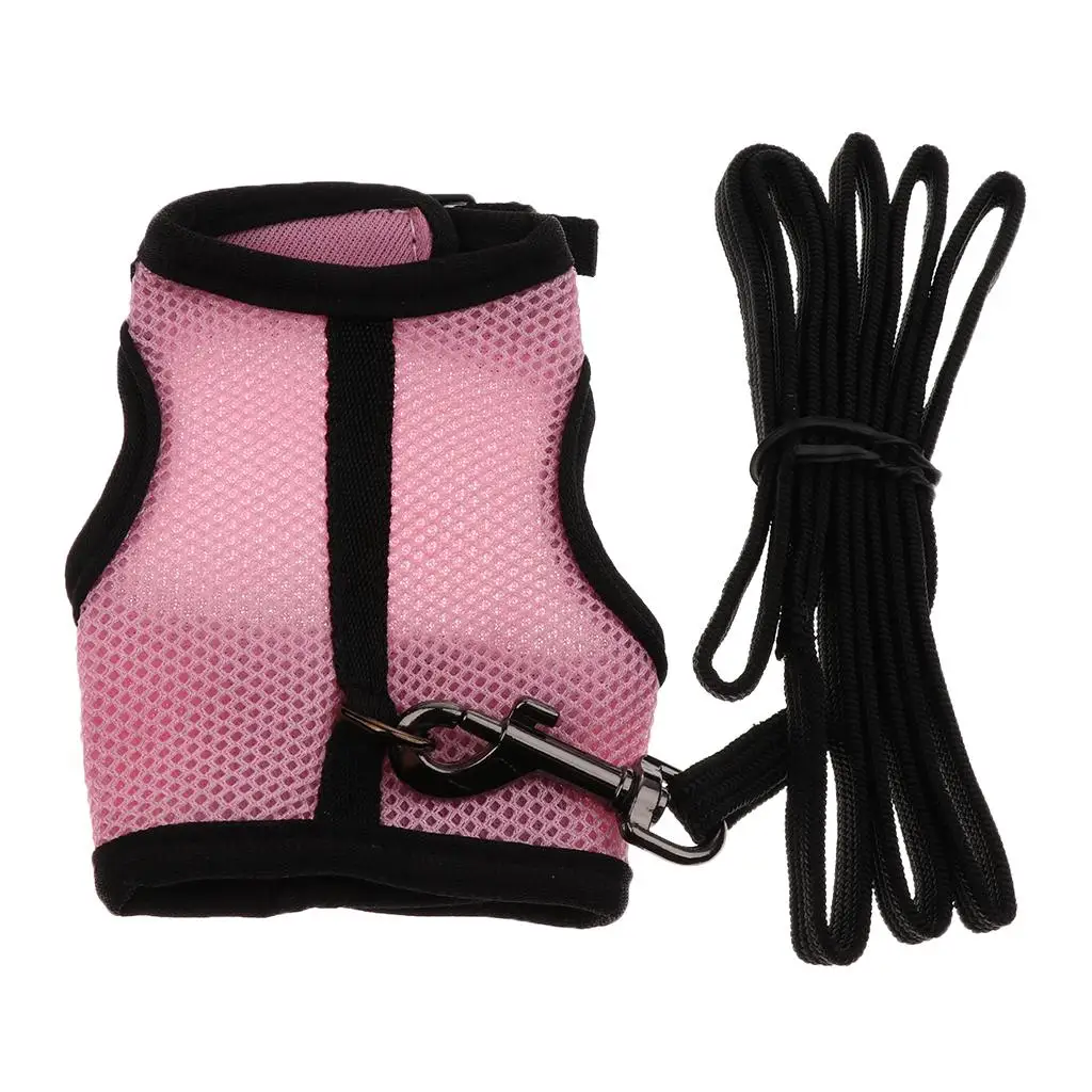 Squirrel Harness with Leash Adjustable Soft Mesh Comfortable Breathable https://ae01.alicdn.com/kf/Sb4c39b50447041d1b43e792fada99d97C.jpg