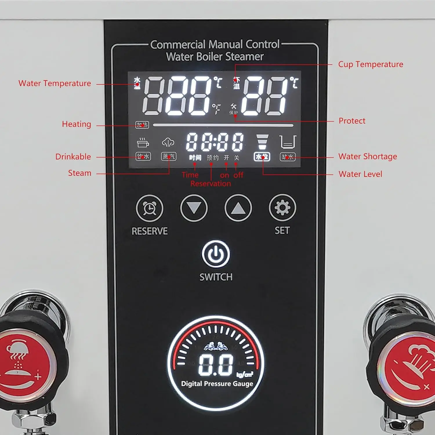Steam Milk Frother 3.2Gal, 3000W Automatic Steam Boiling Water Machine, 2-Wand, Controllable 3