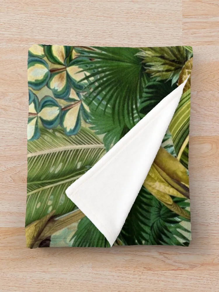 ��Ƽ�� �׸� ���� ���� ���� ���� ������ ���, ��� ������ ���� ħ��, ������ ���� ħ��, ���� ���