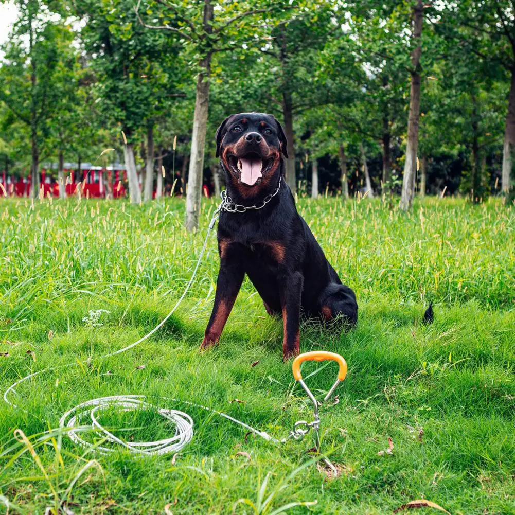 Dog Spike Practical 360 Degree Rotating Ring Sturdy Training Camping Dog Stake Outdoor Play