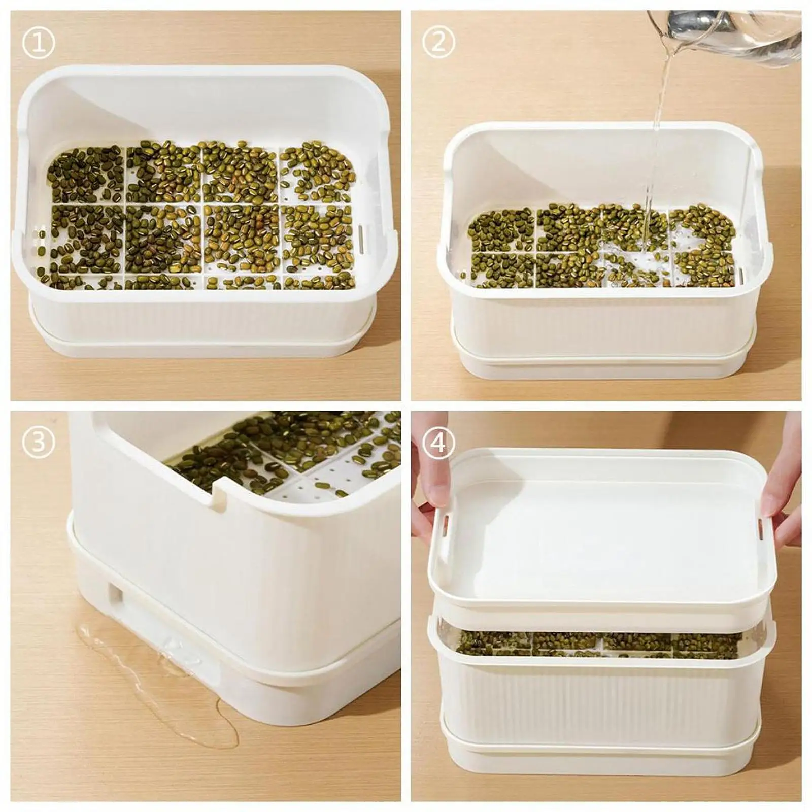 Seed Sprouts Tray Nursery Tray Saving Space Mini Greenhouse Germination Kits for Sprout Planting Container Green Growing seed starter tray seedling tray sprout growing kit