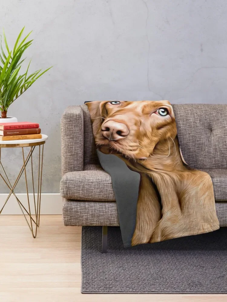 Vizsla ��Ʈ����ũ A ���� ������ ���, ���� ���� ���, ���� ħ�� ���, ��ũ��