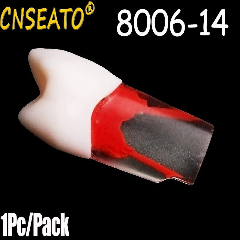 Simulateur Acrylique Pour Entraînement Au Traitement Canalaire Dentaire (Endo) - Blocs De Pratique Avec Fichiers Imitation
