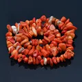 Porites Coral