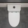 12"in One Piece Elongated Modern Toilet 3.1-Inch Huge Trapway Pipe Glazing Top Dual Flush 1.1/1.6 GPF 4