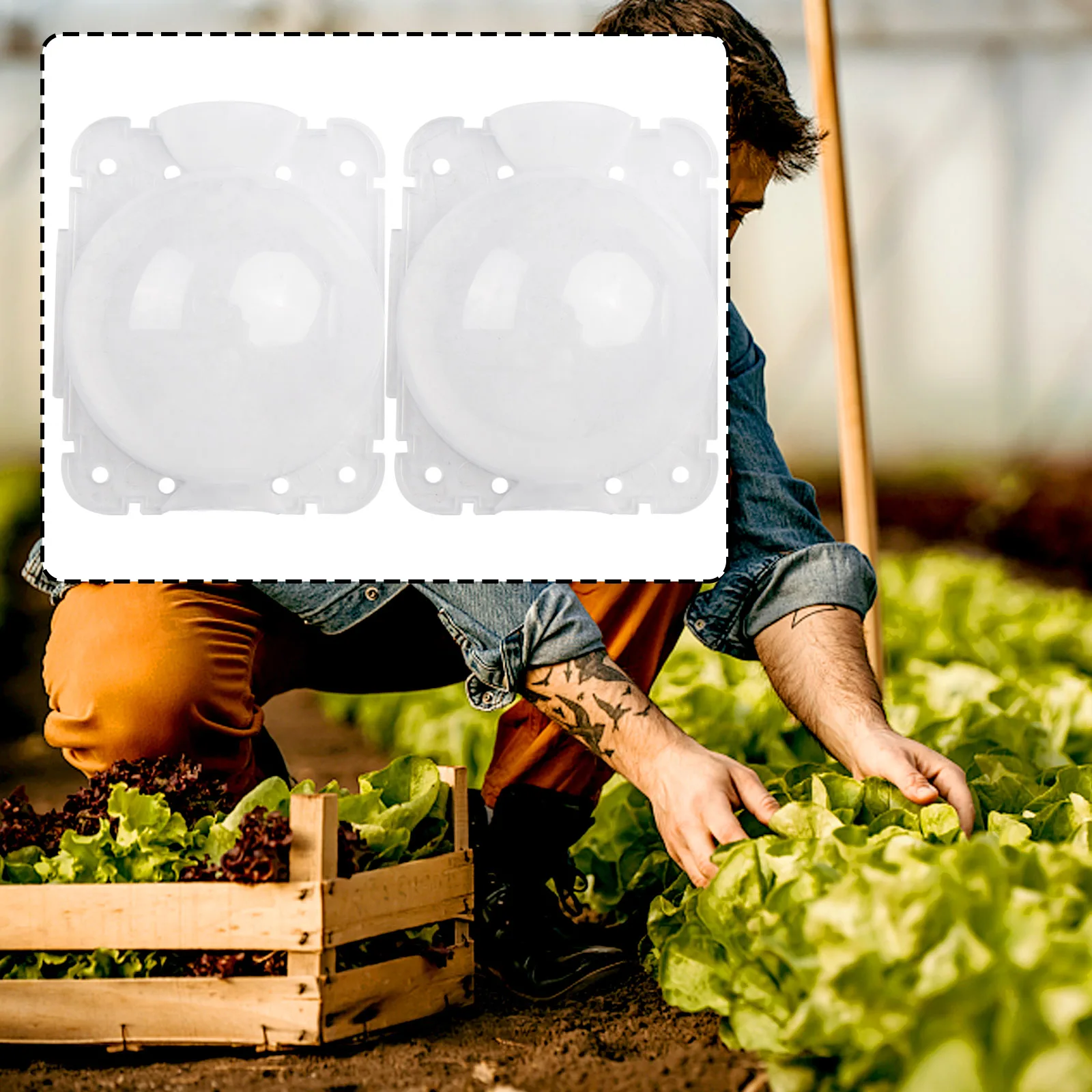 

Durable High Quality Practical Plant Rooting Box 8 Cm Air-Layering Pod Climbers Propagation Shells Garden Indoor