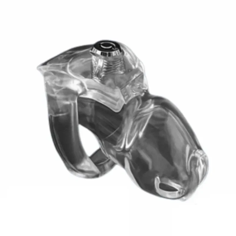 Upgrade HT-V5 Male Chastity Cage Click Lock 3 Colors Resin Cock Cages Penis Lock Bondage Trainer Sex Toys for Men Gay 18+ penis chastity cage,chastity lock sex toy,chastity cage accessory