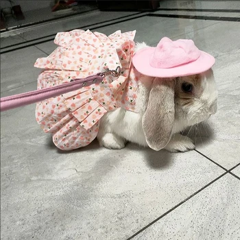 Rabbit Harness Dress with Leash 1