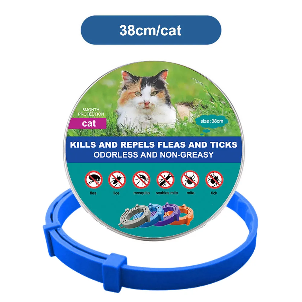blue (cats)