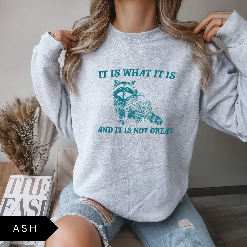 Sudadera vintage con estampado de mapache para mujer, divertida, básica, holgada, estilo vintage, de polar