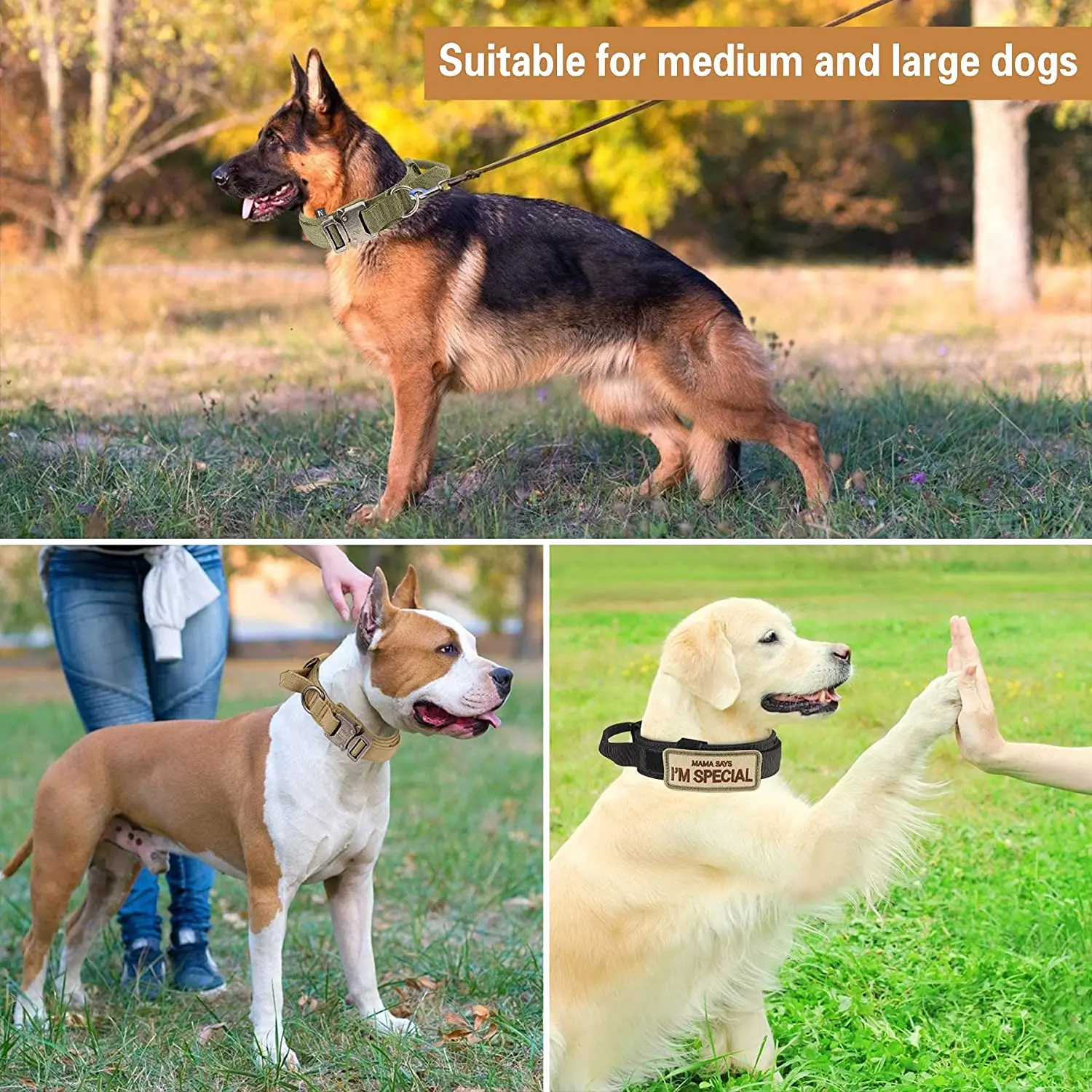 Sb4d47b24acd24302a0fb2b7946c8ae3an