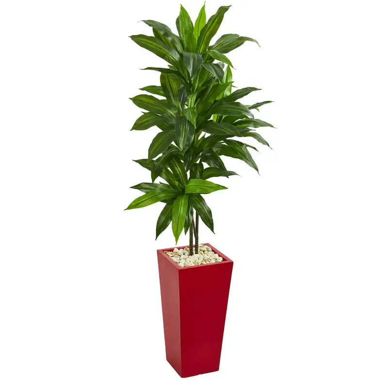 

Dracaena Artificial Plant in Red Planter (Real ), Green