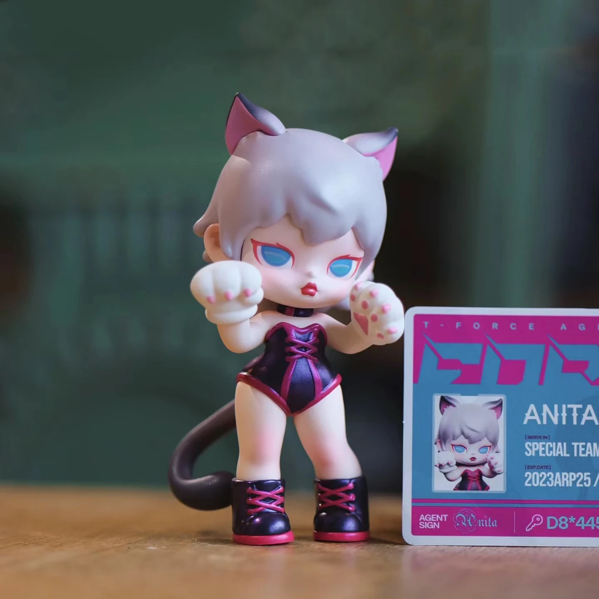 ANITA