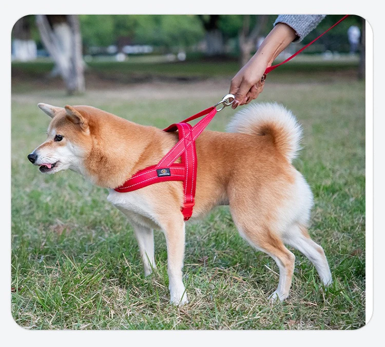 Adjustable Nylon Dog Harness For Small Breeds Chest Vest_voghion.com