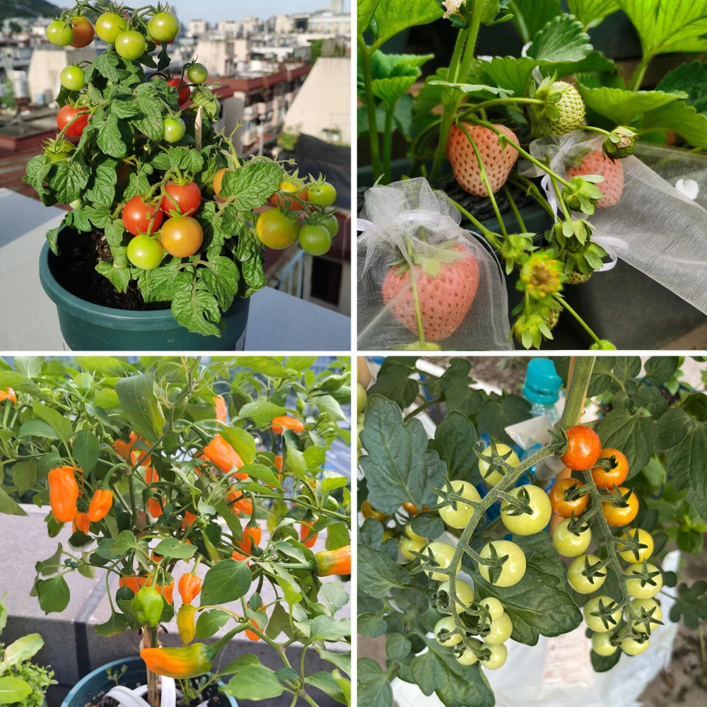 Slide image b0ef793e0e7b4ba2aadd407c6a5738a0