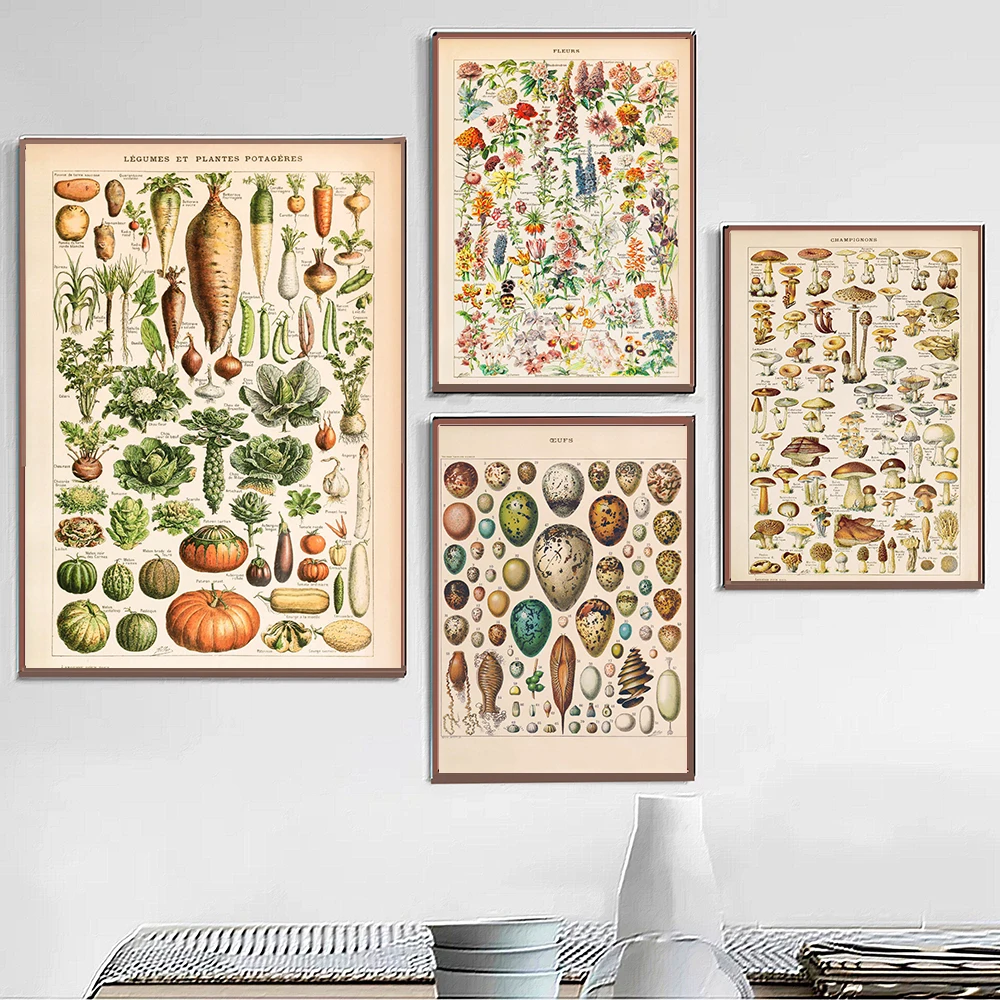 

Antique Botanical Prints Vintage Mushroom Poster French Version Educational Wall Art Canvas Painting Picture Home Wall Decor