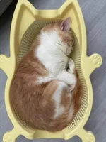New Summer Bed cats Vegetable Basket Four Seasons Universal Breathable Accessories for cats houses & habitats Carrier for cat 1