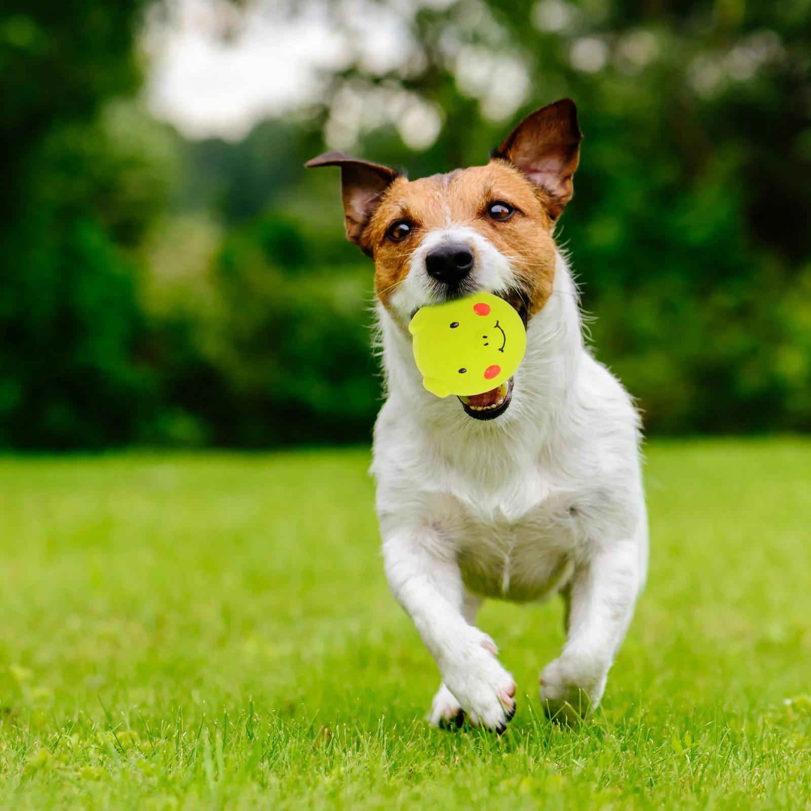 

Squeaky Puppy Toy Cartoon Pig Shaped Dog Teeth Toy Interactive Chewing Toy for Aggressive Chewers