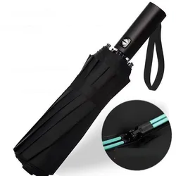 Premium Reinforced Wind - Resistant Umbrella with 16 - Bone Structure, Durable and Anti - UV Protection - Metal - fiber composite (Black C)